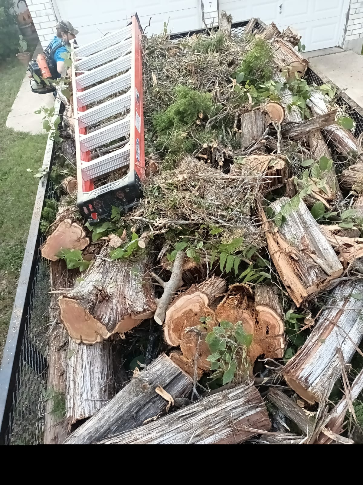 Hector Tree Services Image